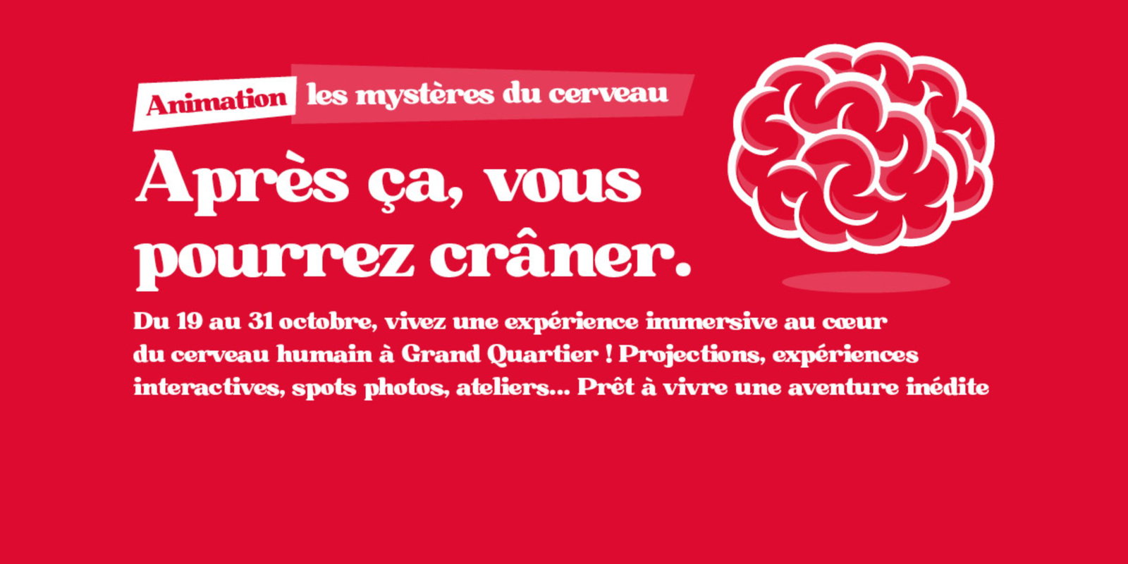 Ateliers enfants du 26 au 31/10 - Les Mystères du cerveau